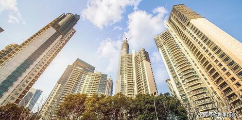 2021年中國各城市倒閉了多少家房地產企業