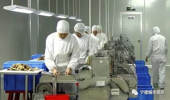 建設(shè)丨寧德古田5千萬的鳳都工業(yè)集中區(qū)食用菌精深加工項(xiàng)目將這樣建