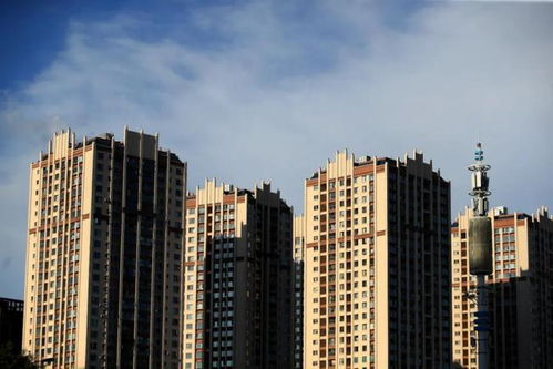 王石再預(yù)測中國未來房地產(chǎn)走向 若無意外,或較大概率又是對的