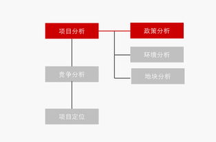舊城改造高端房地產(chǎn)項目產(chǎn)品定位 215頁