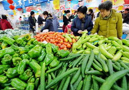 食用農產品價格止?jié)q回落，市場供需趨于平衡