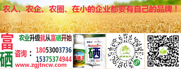 農業農村部實施新規，全國食用農產品全面推行合格證制度