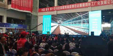 相約清豐 搜菇亮相河南食用菌大會，引領食用農產品新篇章